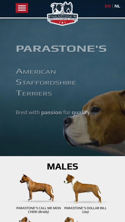 Studio29elf | Website voor American Staffordshire Terrier kennel